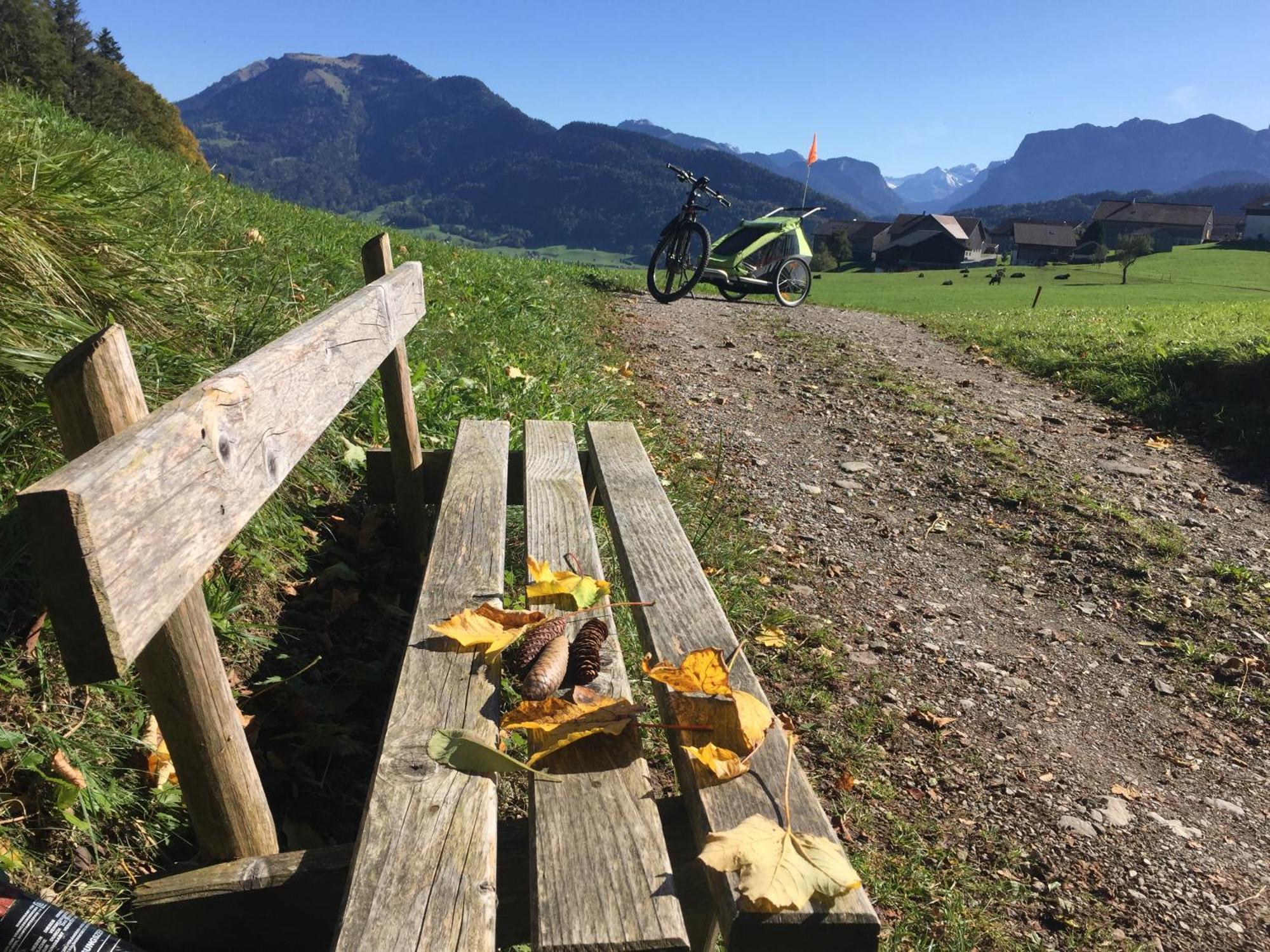 Neu Auszeit985 - Auszeit Mit Ausblick Appartement Schwarzenberg im Bregenzerwald Buitenkant foto