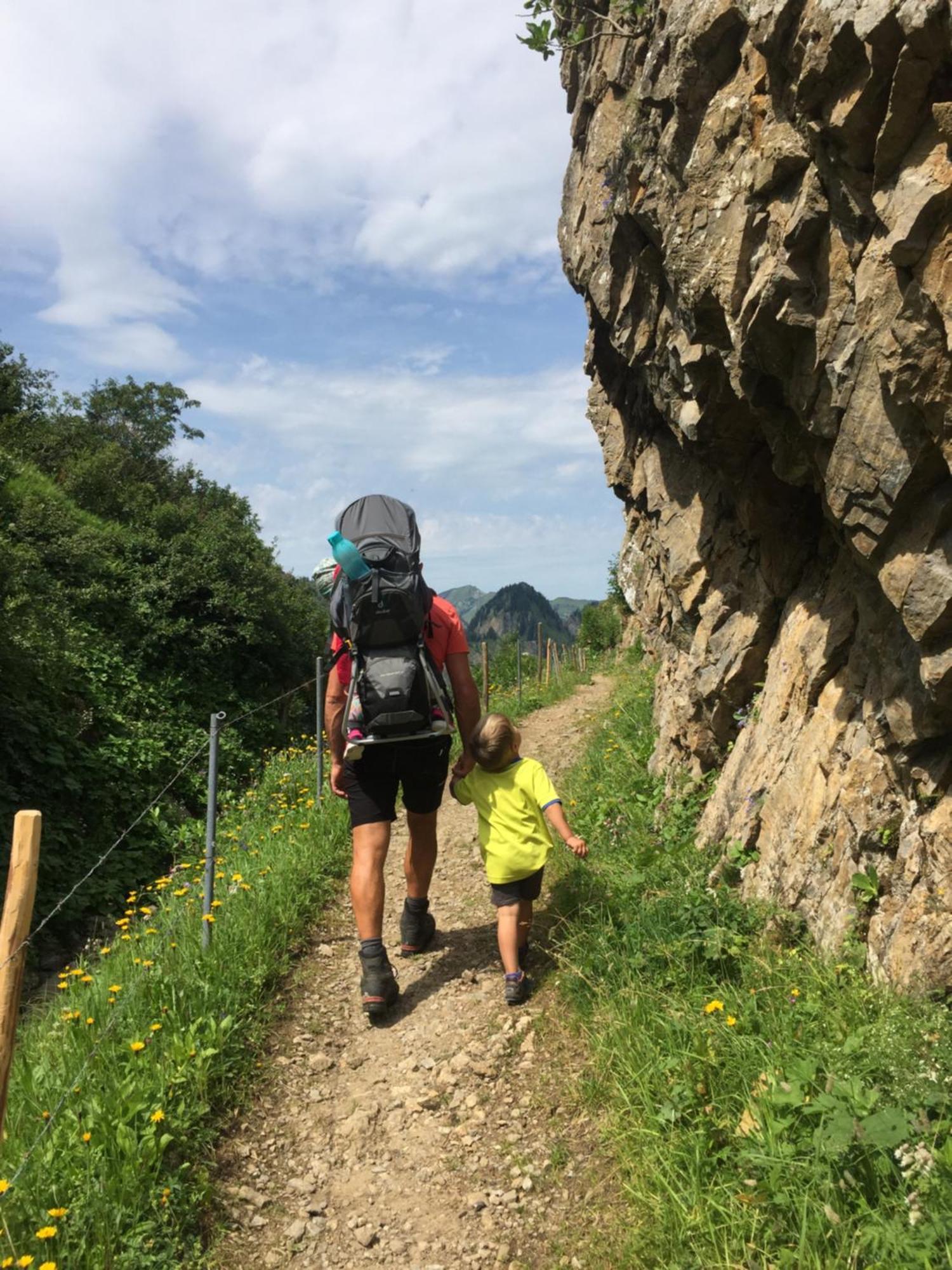 Neu Auszeit985 - Auszeit Mit Ausblick Appartement Schwarzenberg im Bregenzerwald Buitenkant foto