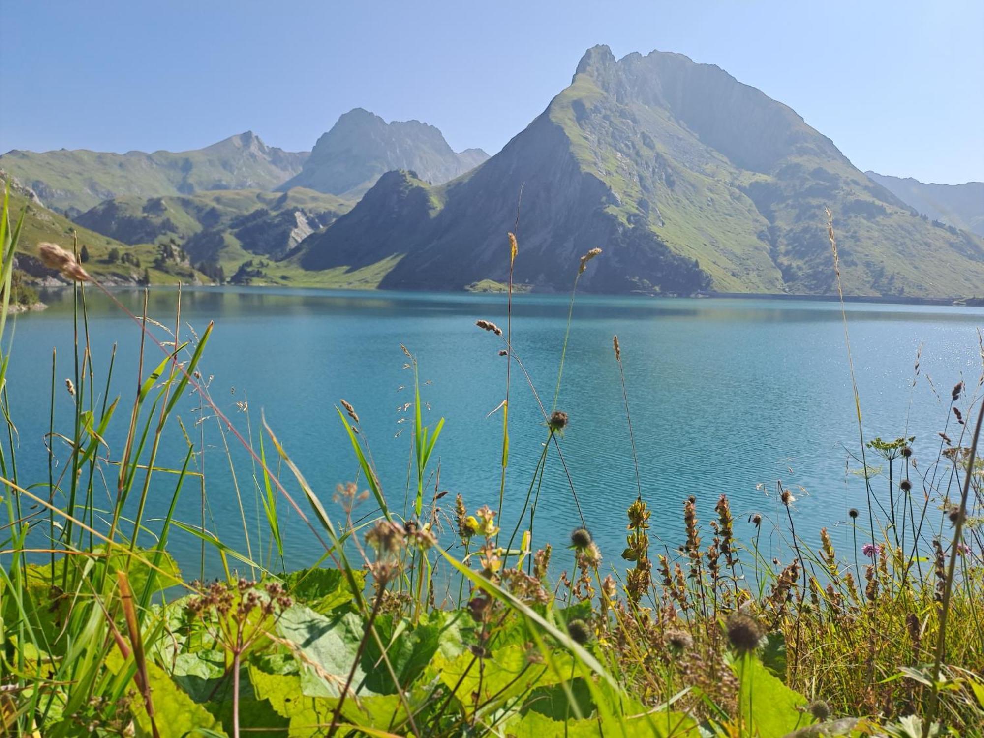 Neu Auszeit985 - Auszeit Mit Ausblick Appartement Schwarzenberg im Bregenzerwald Buitenkant foto
